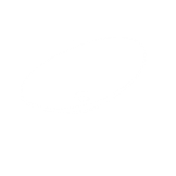 The Vase 675 The Vase 675